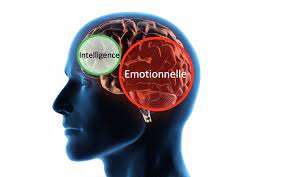 Intelligence Emotionnelle Kezako