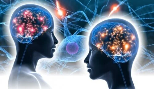 Test d'Intelligence Emotionnelle